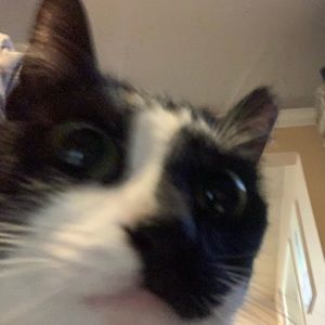 Meet your Posher, Julissa